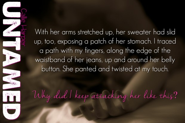 Untamed Teaser 3-1.jpg image