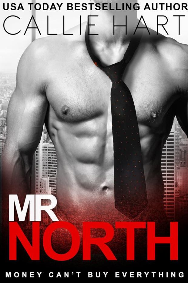 Mr North cover