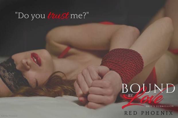 Bound By Love Teaser trust